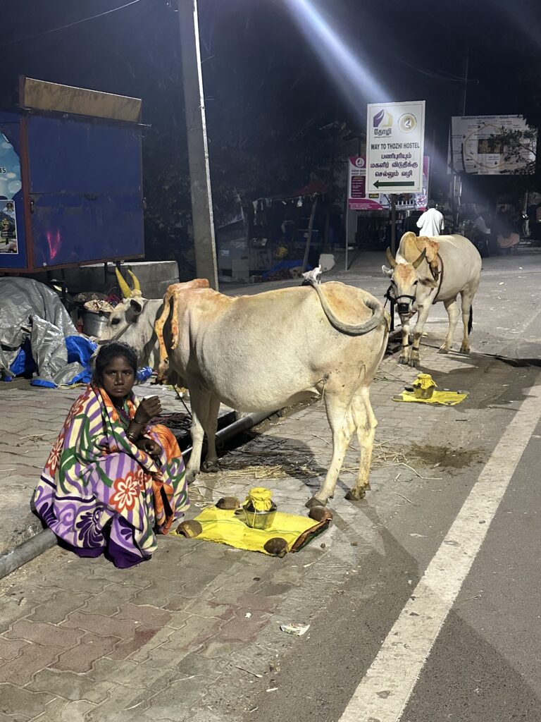 hindistan günlükleri 2 img 6931