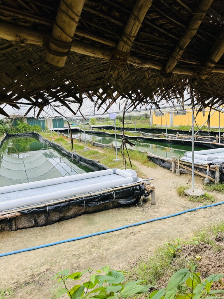 hindistan günlükleri 3 - AurovIlle img 7054