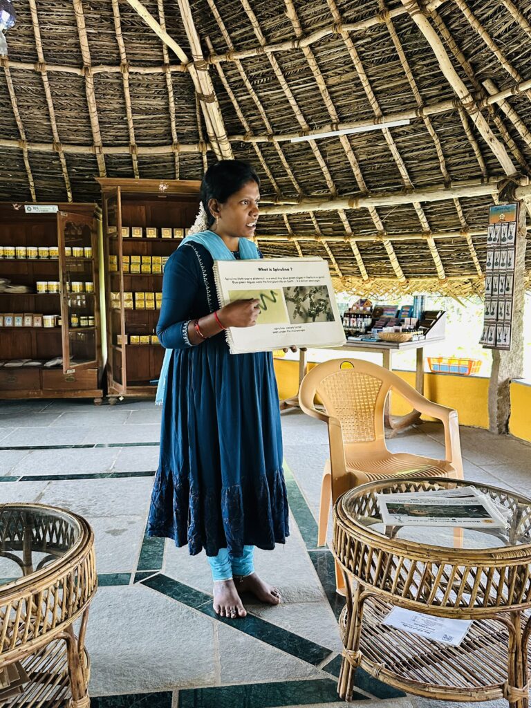 hindistan günlükleri 3 - AurovIlle img 7057