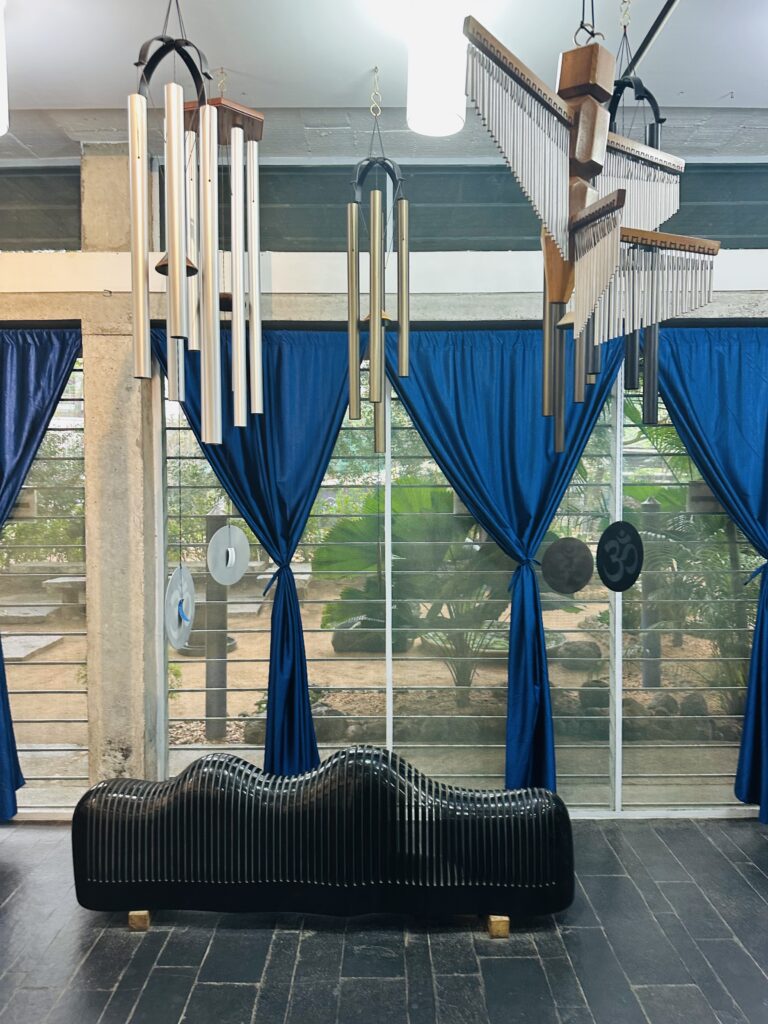 hindistan günlükleri 3 - AurovIlle img 7068