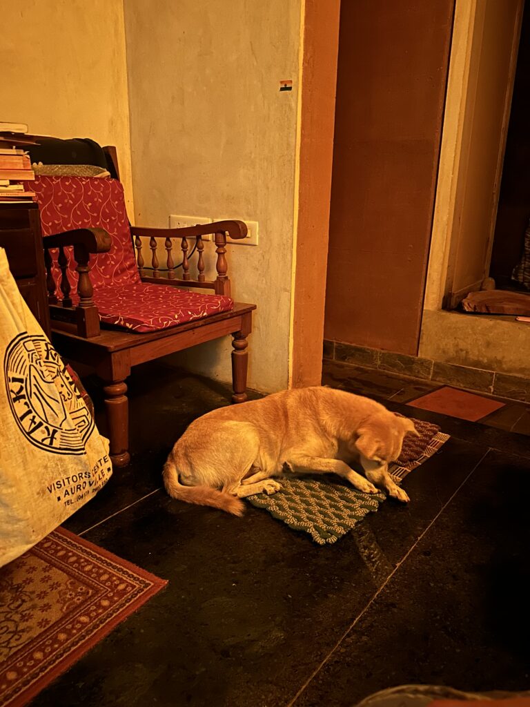 hindistan günlükleri 3 - AurovIlle img 7114