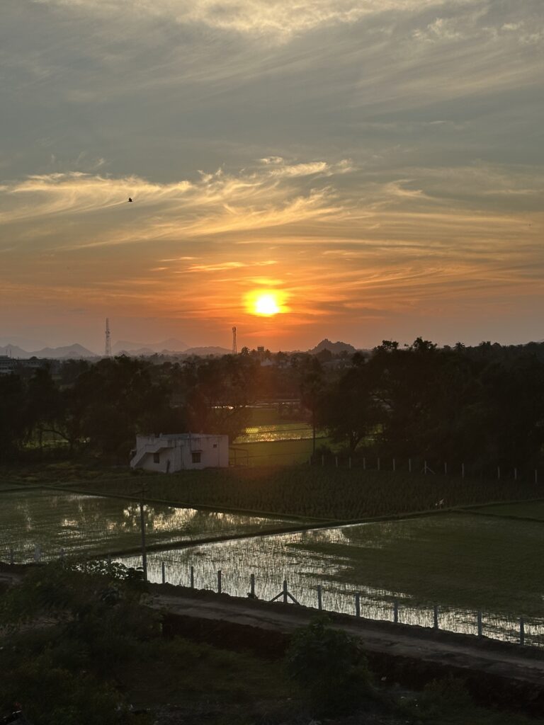 hindistan günlükleri 2 img 7163