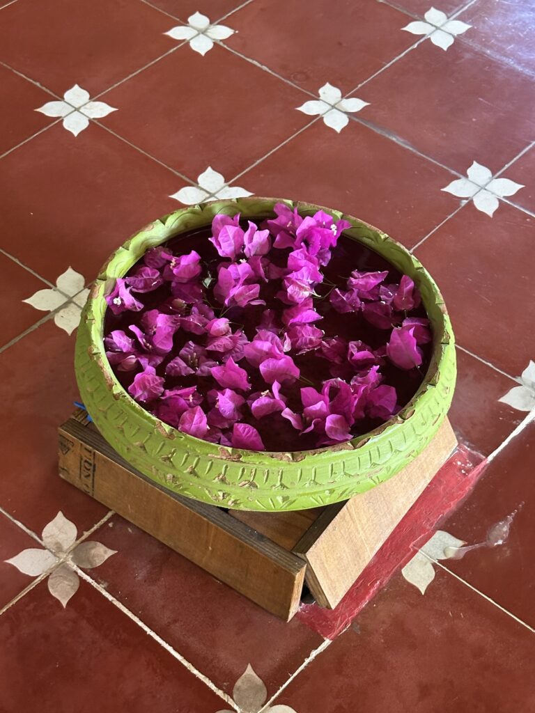 hindistan günlükleri img 7465