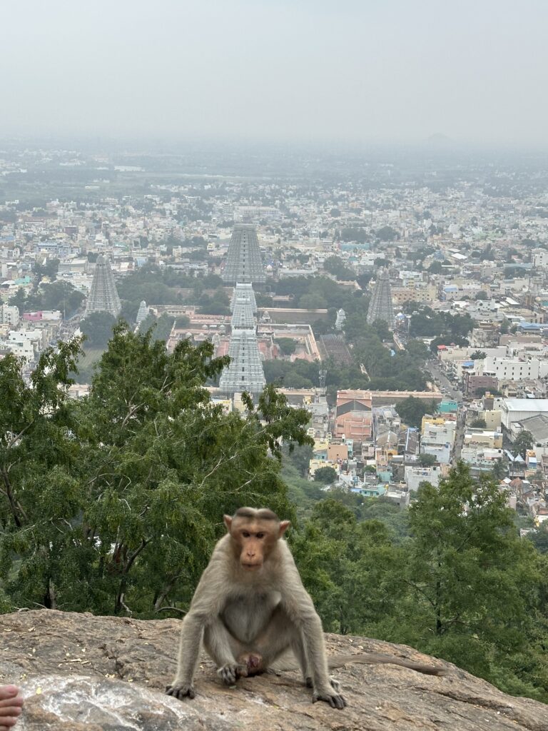 hindistan günlükleri img 7833