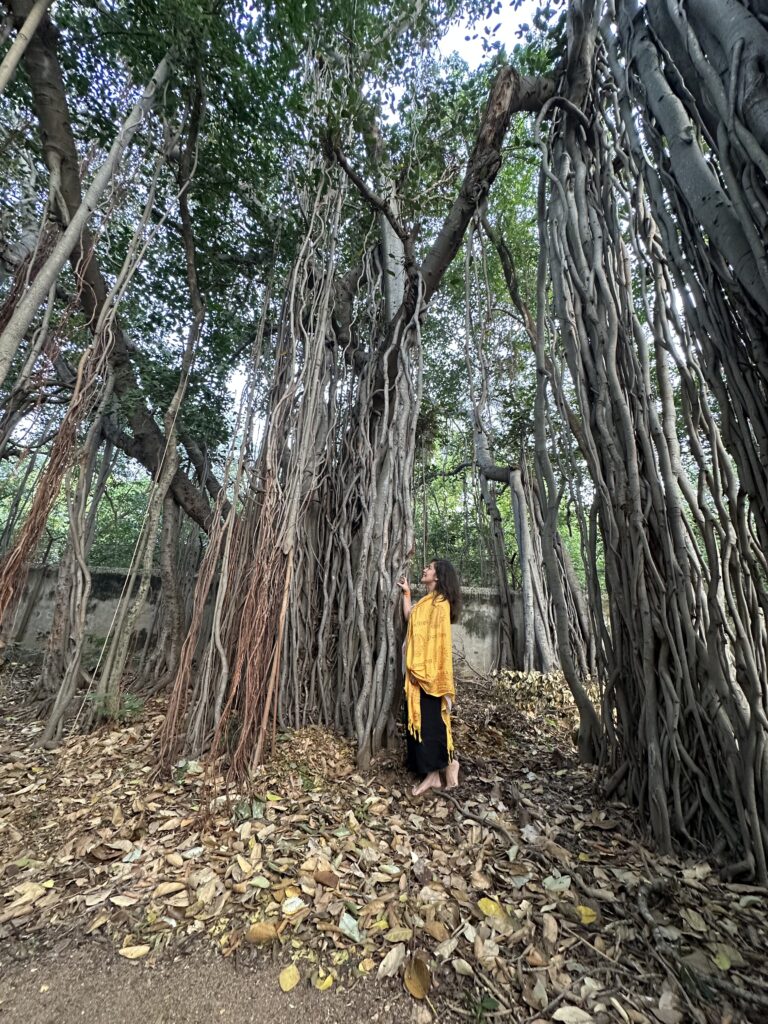 hindistan günlükleri img 7983